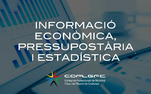 Informació econòmica, pressupostària i estadística 